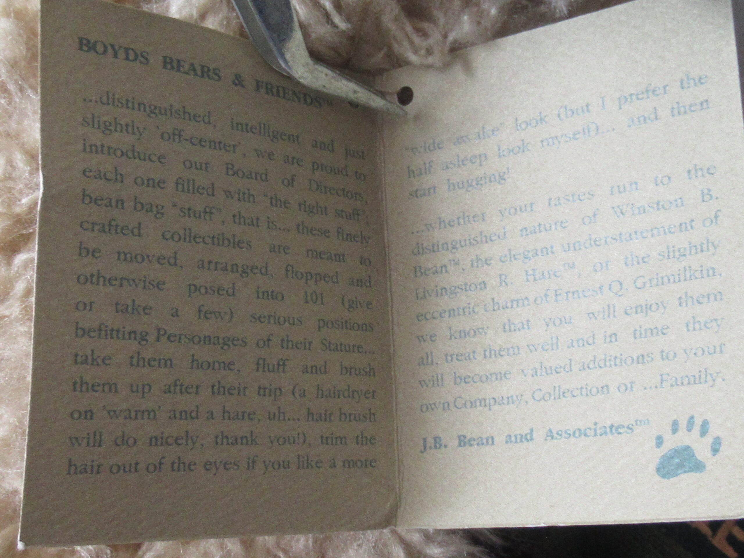 Boyds Bear with Santa Cap and Believe Stocking - Image 8