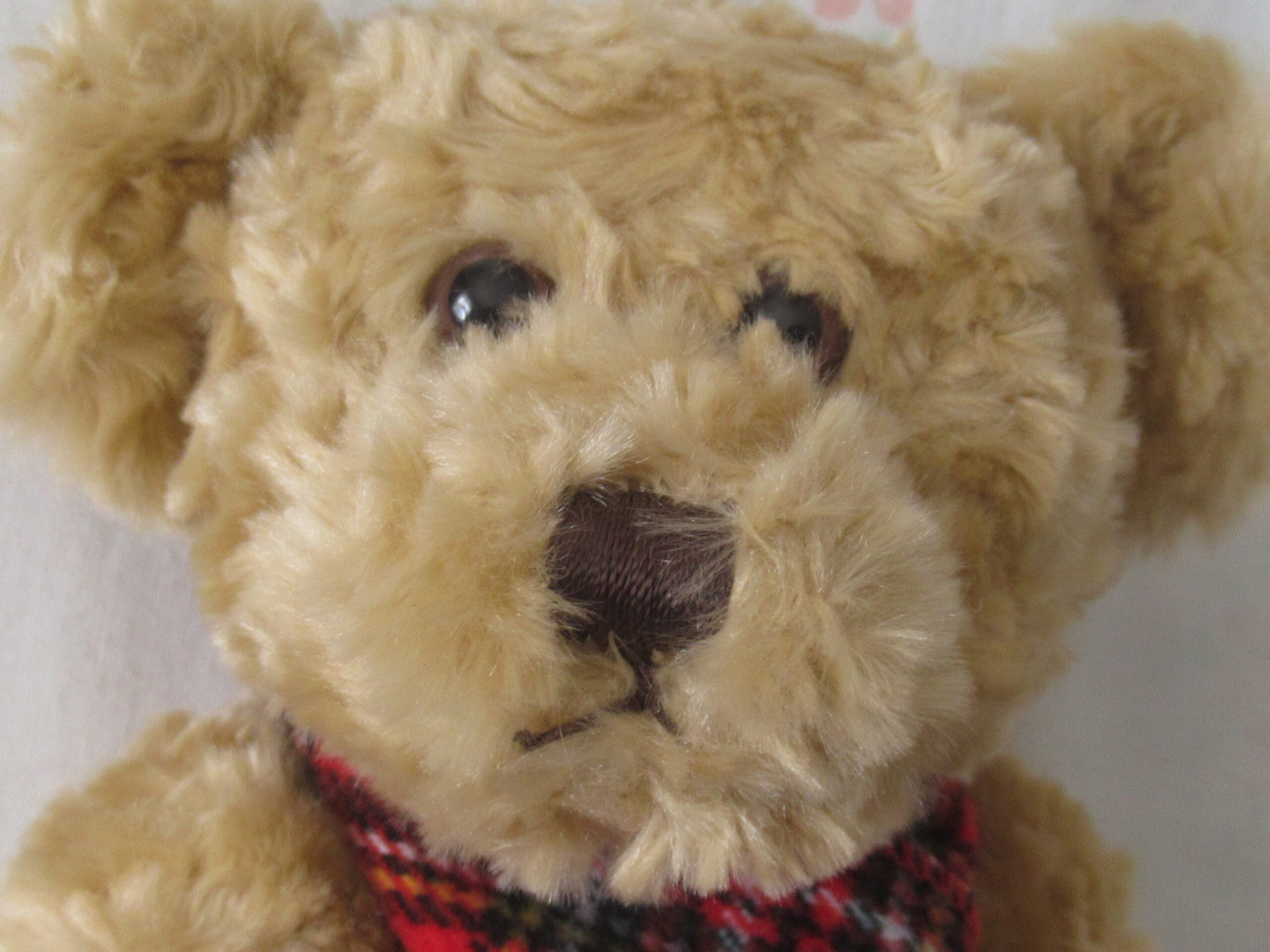 10 Inch Teddy Bear with Plaid Scarf - Douglas 2003 - Image 2