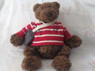 Gund - American Eagle Outfitters - Rugby Teddy Bear