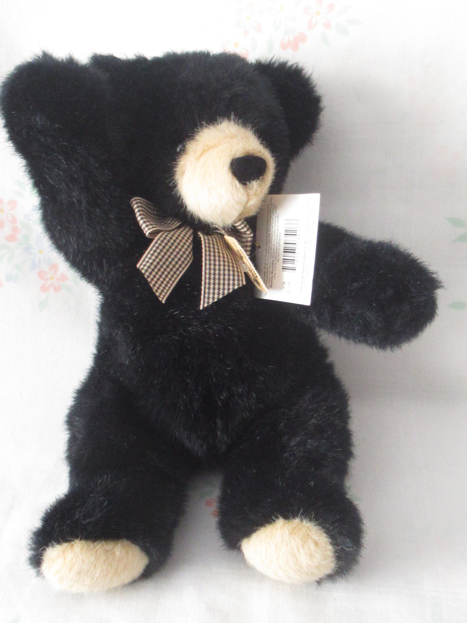North American Bear - Tootie the Two Tone Bear