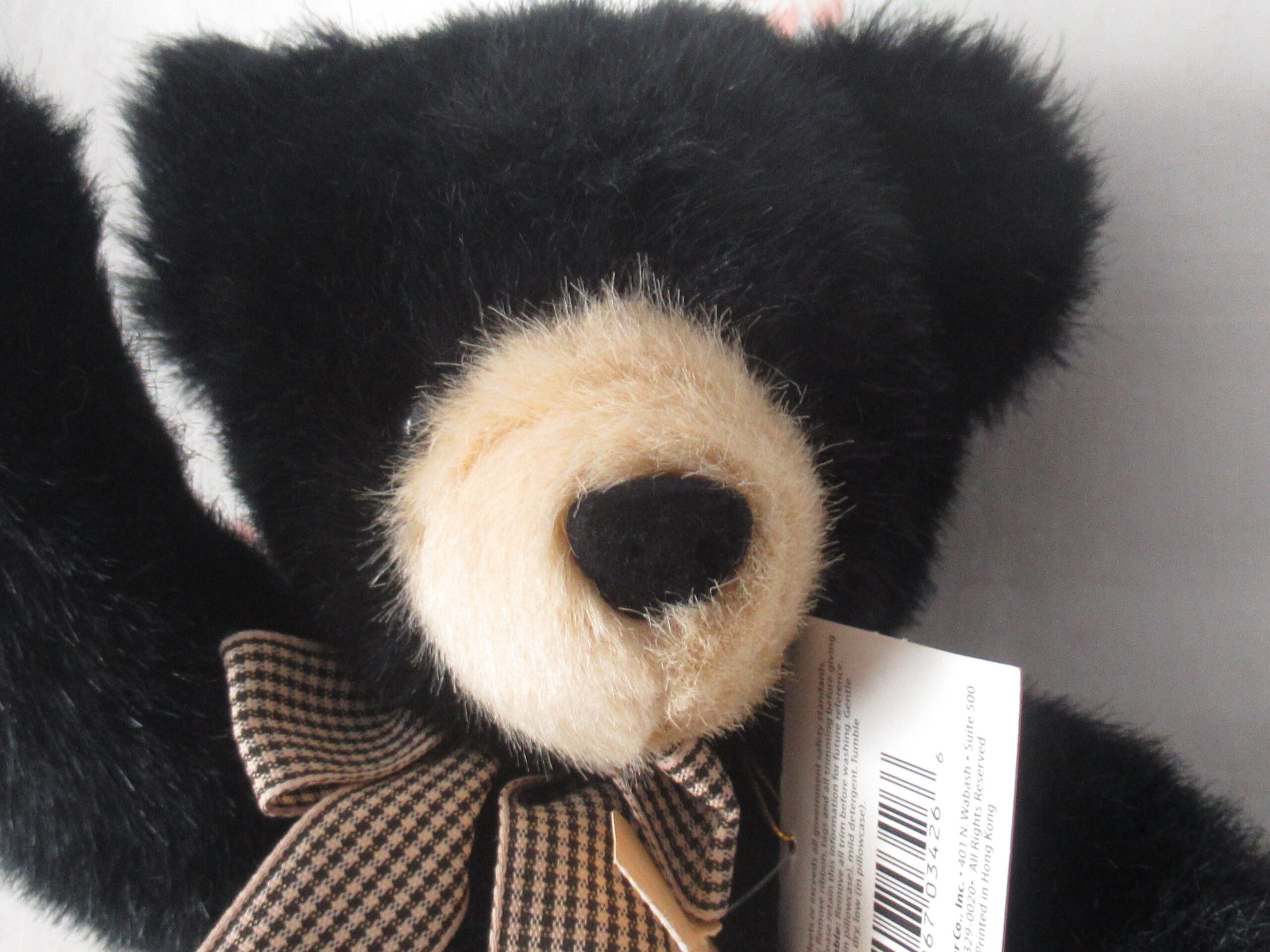North American Bear - Tootie the Two Tone Bear - Image 2