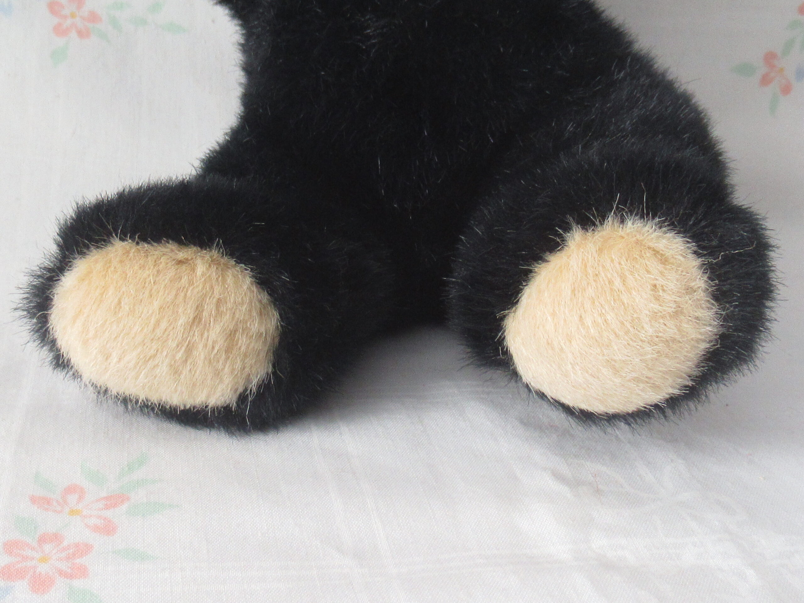North American Bear - Tootie the Two Tone Bear - Image 4