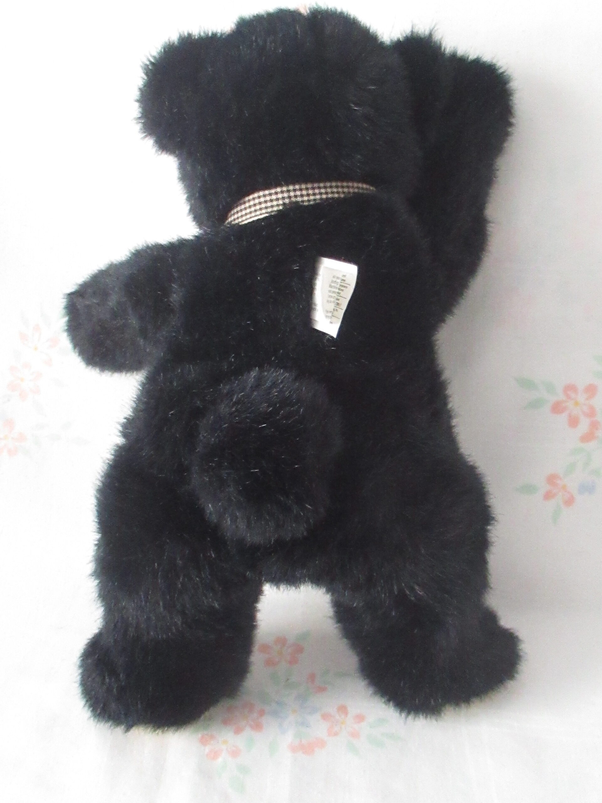 North American Bear - Tootie the Two Tone Bear - Image 3