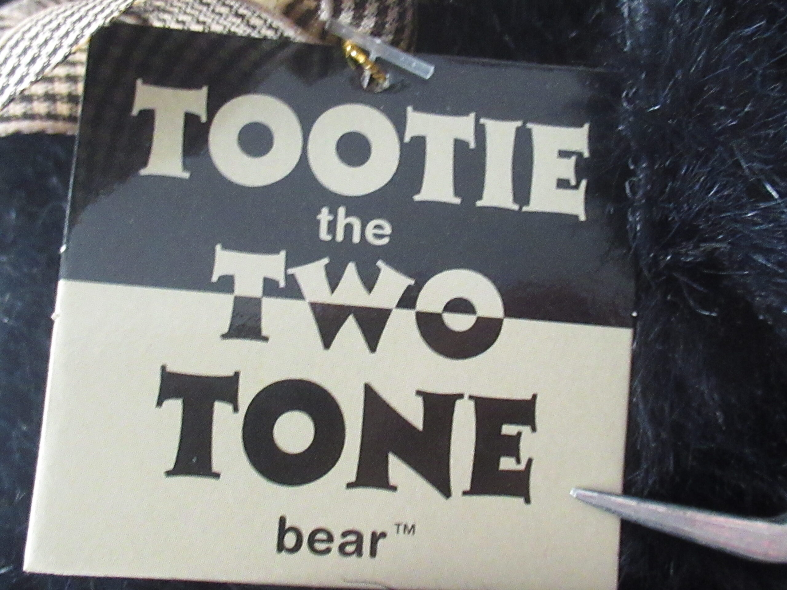 North American Bear - Tootie the Two Tone Bear - Image 5