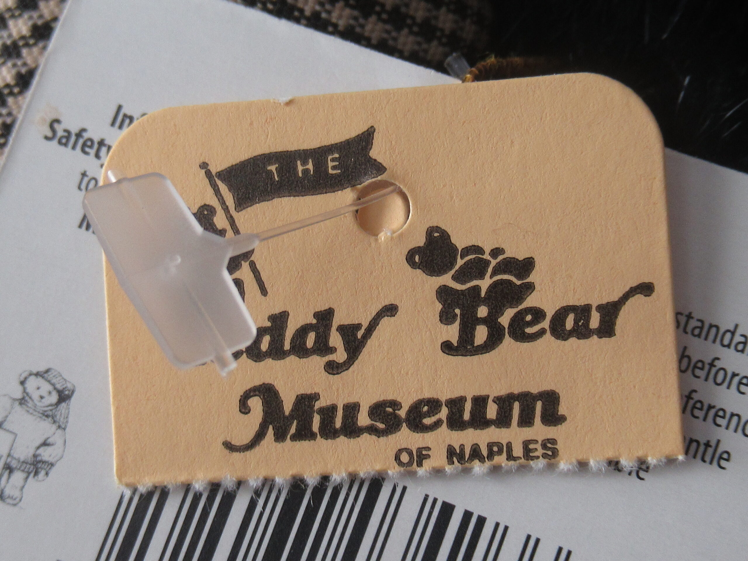 North American Bear - Tootie the Two Tone Bear - Image 7