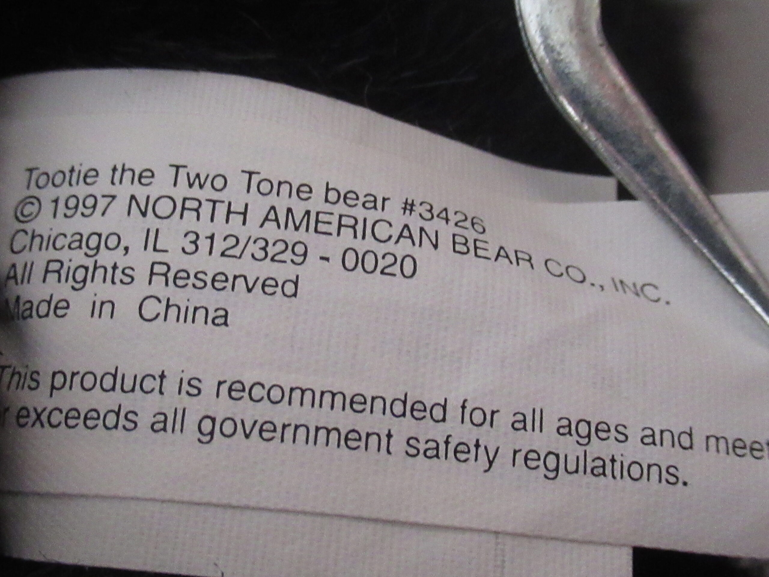 North American Bear - Tootie the Two Tone Bear - Image 8