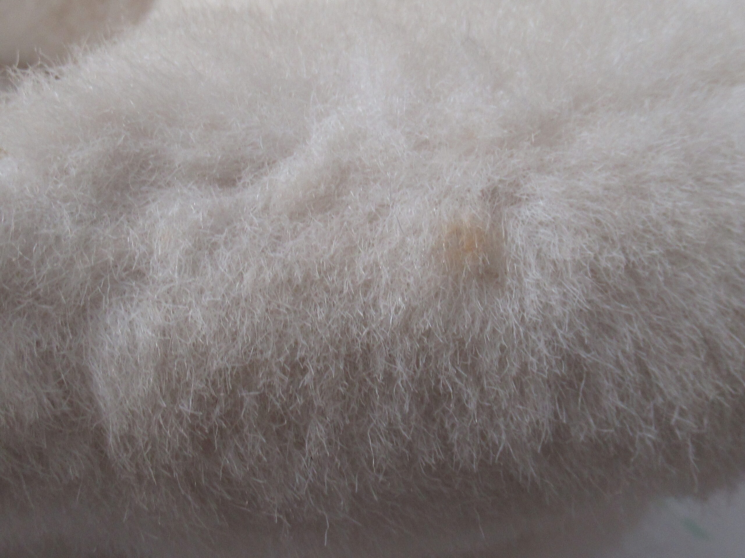 The Vermont Teddy Bear Company - 1992 - 16 Inch Jointed - Image 6