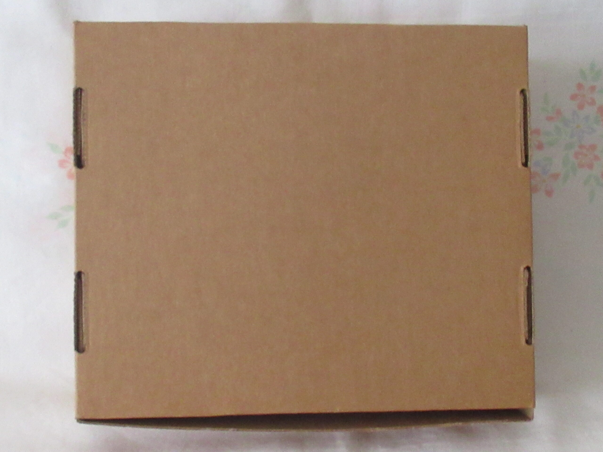 Gund Collectors Club 1999 - 8 Inch Mohair Teddy Bear - Image 3