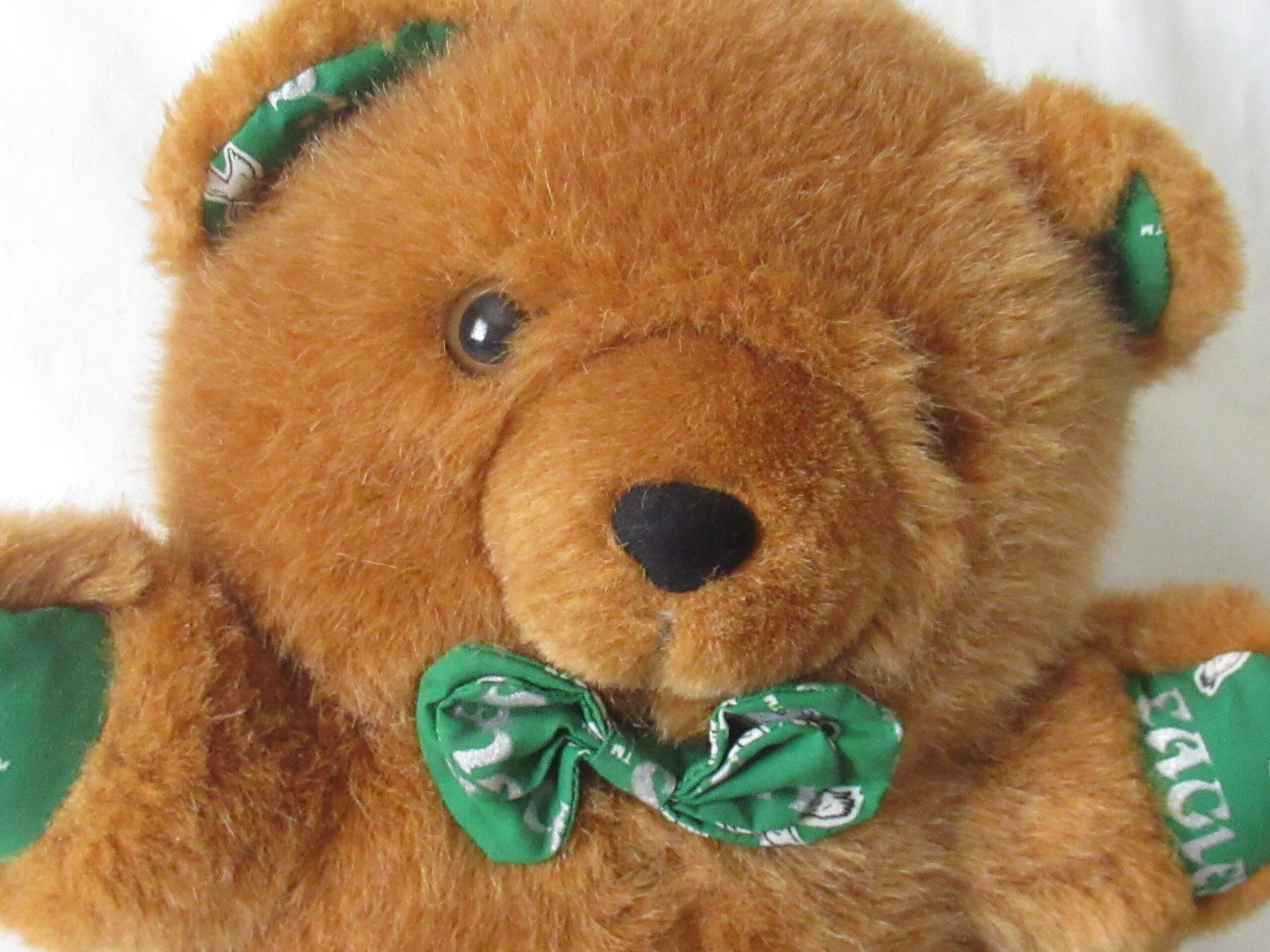 Eagles Pillow Pal - Team NFL - Reversible Teddy Bears - Image 2