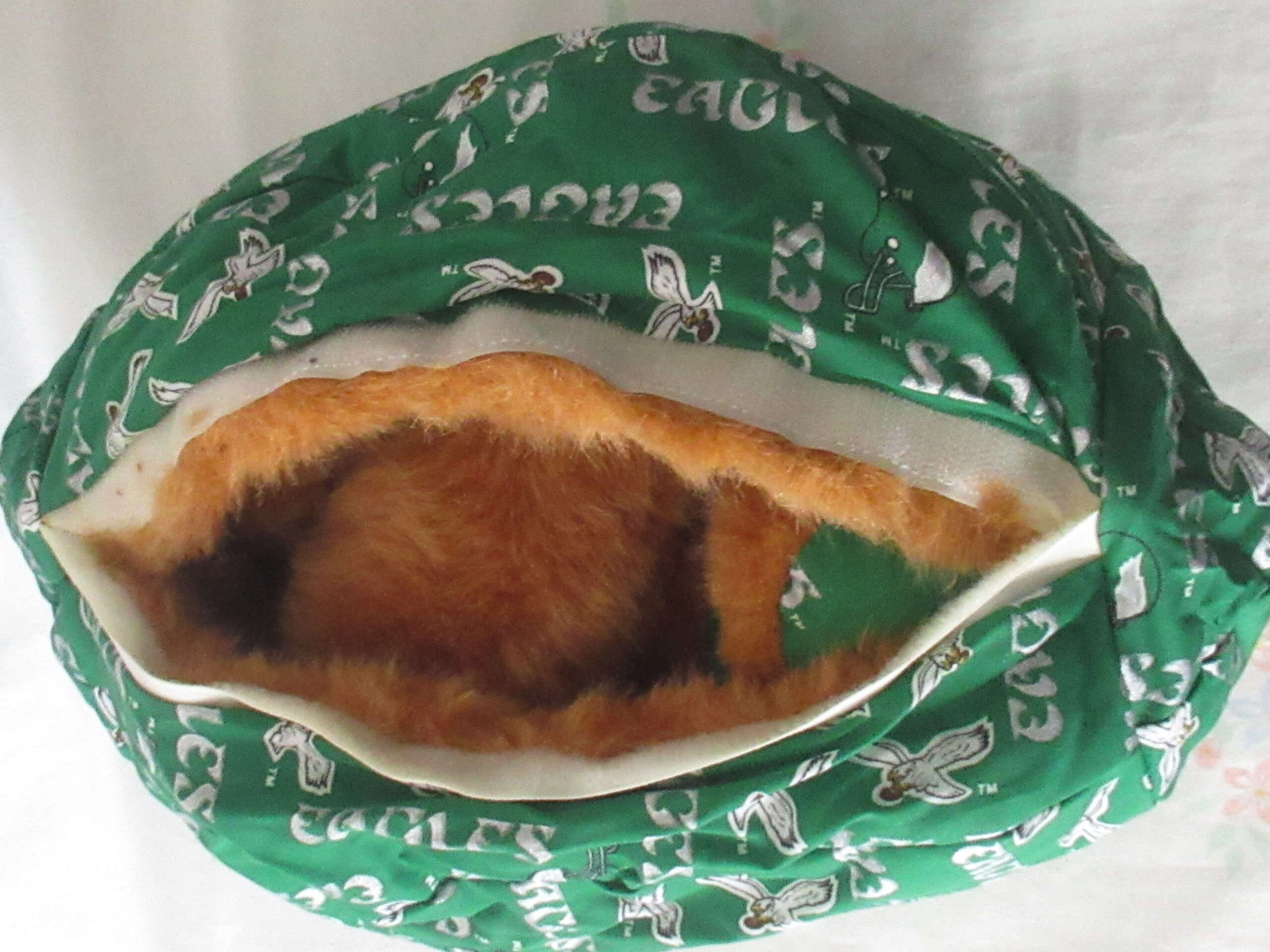 Eagles Pillow Pal - Team NFL - Reversible Teddy Bears - Image 10